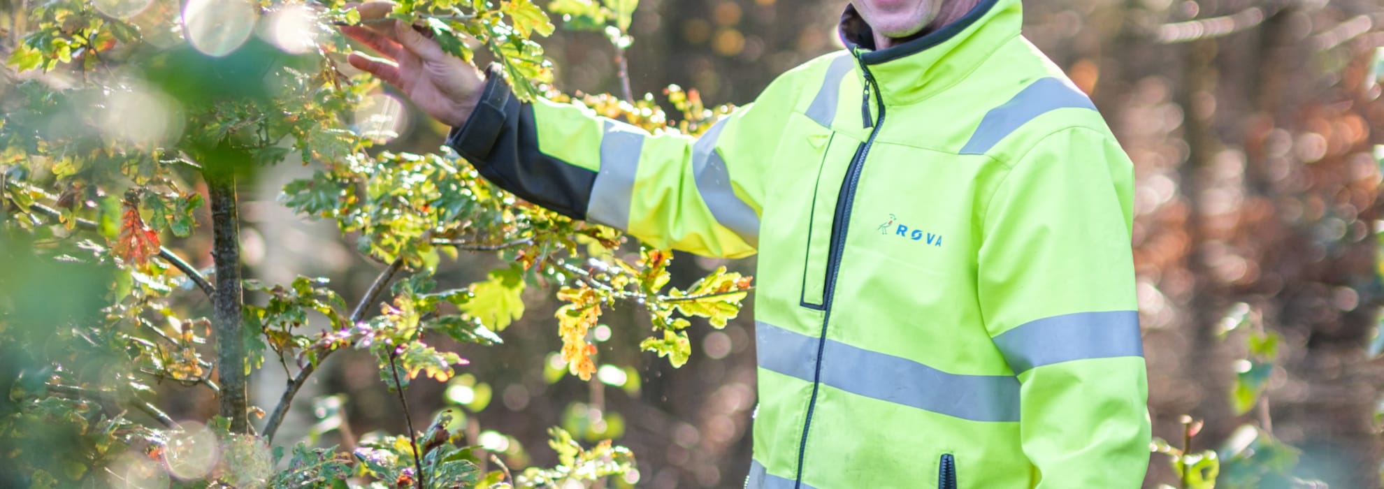 Foto van een ROVA-medewerker in een eikenhouthakbos